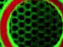 Why Do Lesbian Pawgs Like Jelena Jensen Tease So Much