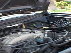 Rachel starts rookie talent search by sucking big cock. Then bends over in fishnets for deep anal gaping with cumshot facial.