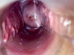 Feel that pulsating orgasm deep inside your vagina from speculum play?