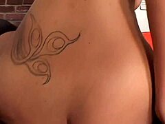 Krystall Wett gets fucked outdoors in fishnets lingerie. She takes blowjob and shaved pussy action with hairless milf style.