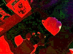 The intense rough sex session featured a massive BBC monster cock pounding relentlessly.