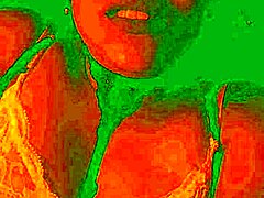 哥伦比亚辣妹Bluee自然大奶狂晃 被狂舔骚穴爽翻天