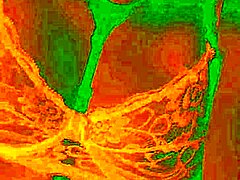 哥伦比亚辣妹Bluee自然大奶狂晃 被狂舔骚穴爽翻天