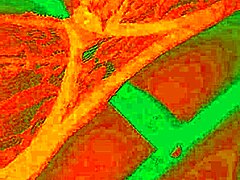 哥伦比亚辣妹Bluee自然大奶狂晃 被狂舔骚穴爽翻天