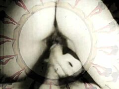 Exploring Vintage Secrets of Antique Beaver Adventures