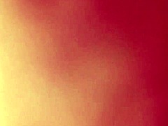 adorable doggie enjoys fun riding adventures