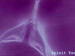 Oh yeah, lick that tight Puerto Rican pussy up close in this Caribbean couple's POV session.