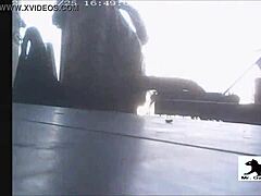 Gato callejero 1 shows street scenes.