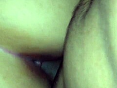 novinha de m zl talks about her favorite hobbies and daily life 😊 with fun stories