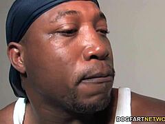 Flower Tucci's Cougar Adventures With Intense BBC Encounters In Wild Group Action