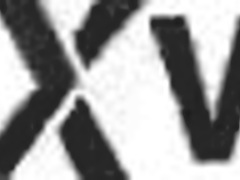 饥渴18+Julia Red被5黑人大屌深肛双洞插