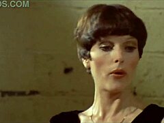 Annette Haven C J Laing And Gloria Leonard Maraschino Cherry