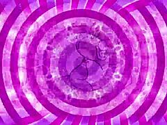 Rejection Sissy Training Trailer