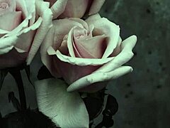 hey, check out mcr's i don't love you with spanish subs 😎