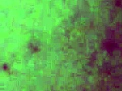 Amateur Oral Caresses Anal Compilation With Music Beats