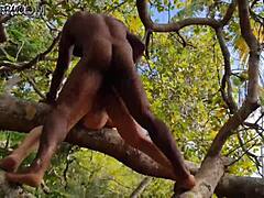 Living paradise putaria: Adam Eve intense anal assfucking dripping nonstop