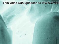 Vintage Erotic Art Showcases Retro Hairy Beauties