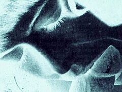 Vintage Erotic Art Showcases Retro Hairy Beauties