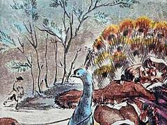 Vintage Erotic Art Features Sensual Retro Poses And Curves