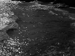 Vintage Hairy Pussy Erotic Drawings Exposed