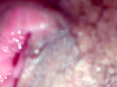 shaved mature pussy spread licked clit orgasms creampie explosion