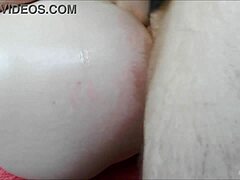 next door butt sluts beg for hard anal pounding and creampie fills