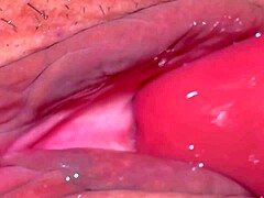 Amateur Japanese Wife's Shaved Pussy Close-Up 343 Days Post-Virginity