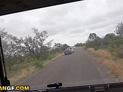 tight ebony pussy hammered by huge american cock in camper