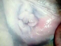 pretty slut mrs pussy slurps cock like a pro