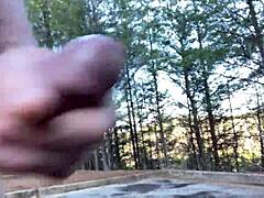 clitlicker662's update 28 img 1283 december