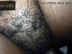 Kenyan bbw rides bestie missionary fat pussy pounding