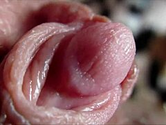 wanna see this huge clitoris throb in orgasm closeup?